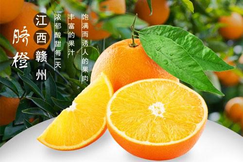脐橙哪里的最出名